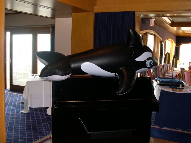 Prince of Wales mascot Charlie the Whale (2009 version)